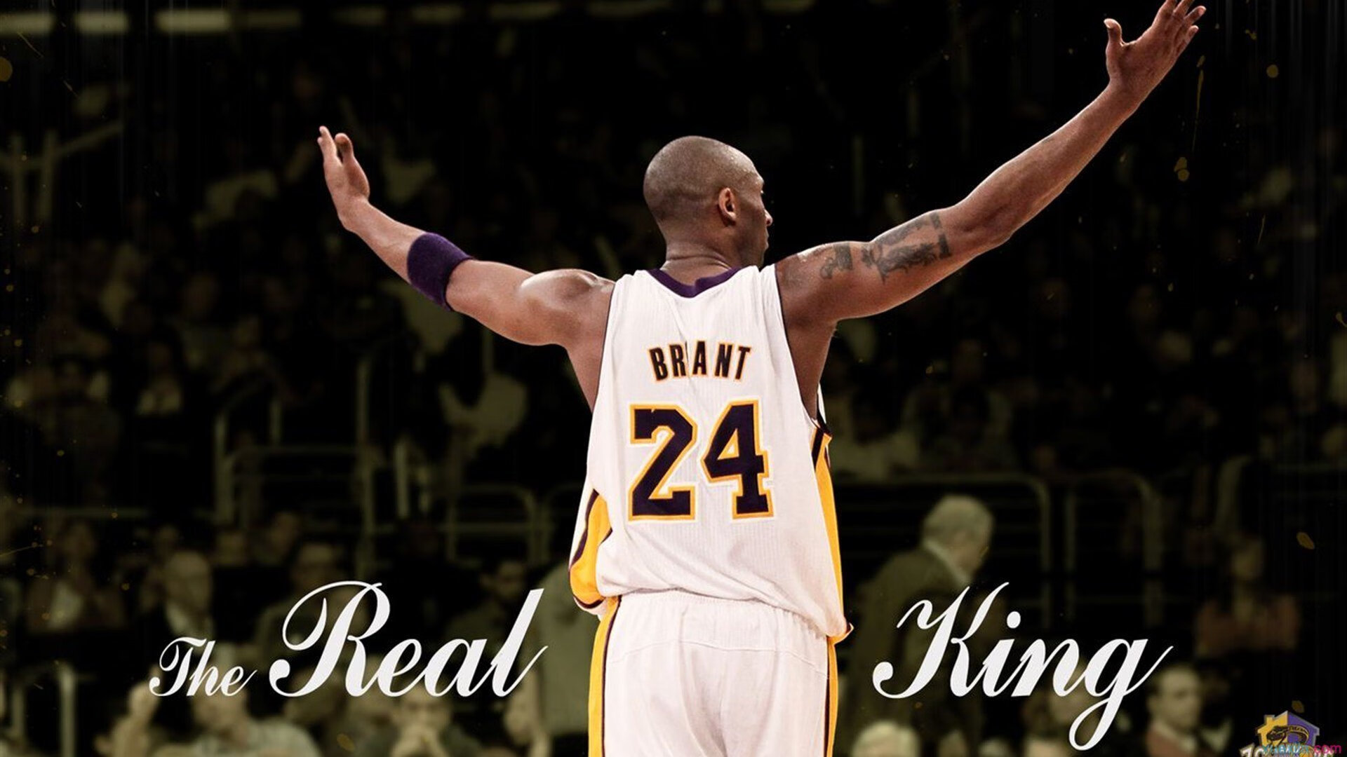 健身训练强度控制