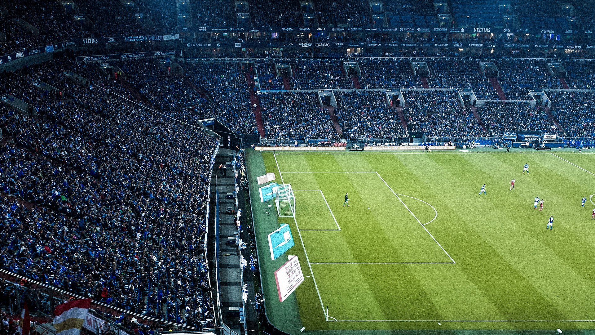 宠物肥胖管理跑步节 主人牵宠物一起完成目标距离